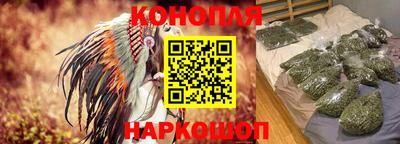 МДПВ Гагарин