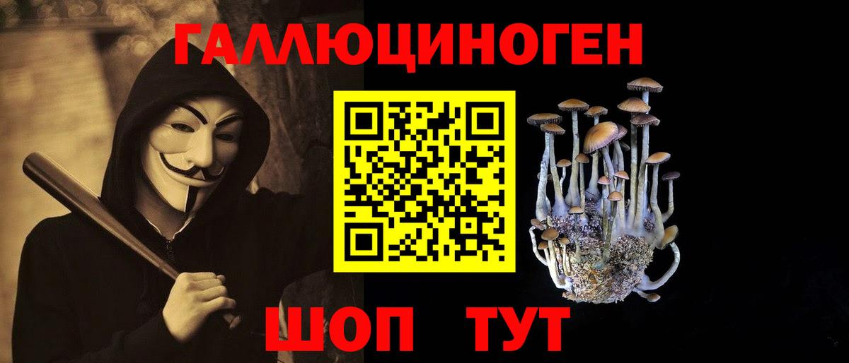 Оренбург  Галлюциногенные грибы GOLDEN TEACHER  Галлюциногенные грибы ЛСД  Вход с VPN 